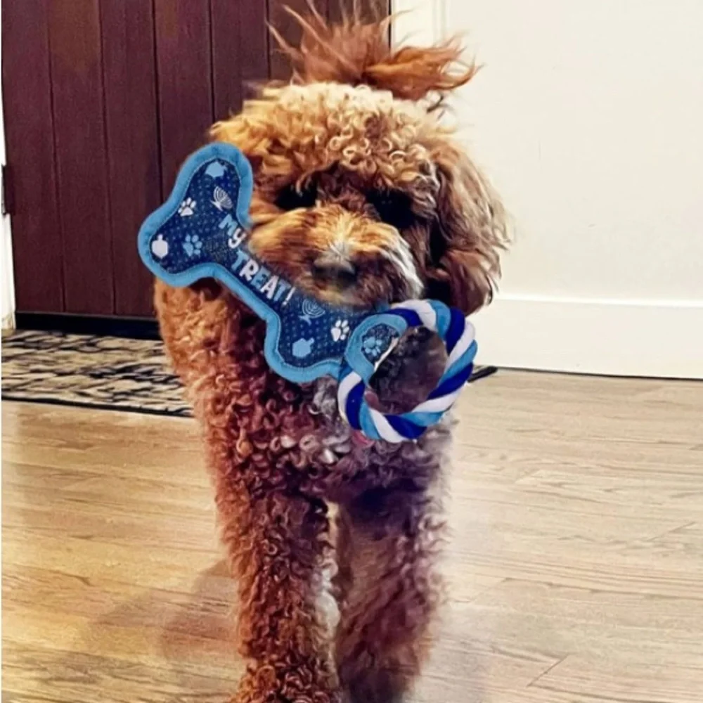 Blue Dog Hanukkah Chew Toy